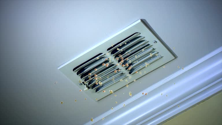 Best Dryer Vent Cleaning Services  in Nevada City, CA