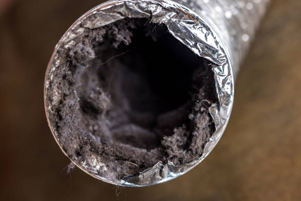 Best Affordable Duct Cleaning Services  in Nevada City, CA