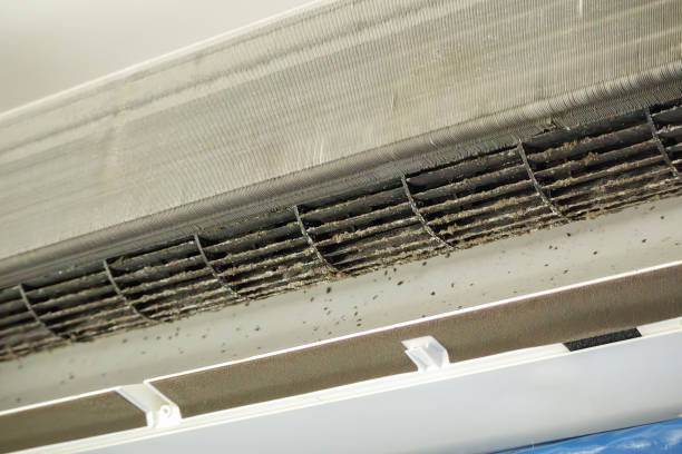 Best HVAC Maintenance and Cleaning  in Nevada City, CA